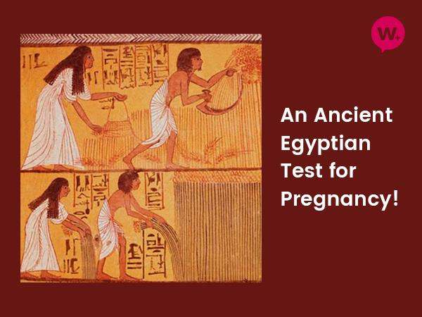 an-ancient-egyptian-test-for-pregnancy