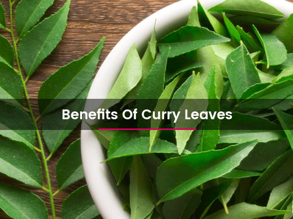 benefits-of-curry-leaves