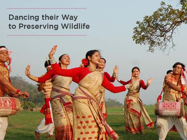 dancing-their-way-to-preserving-wildlife