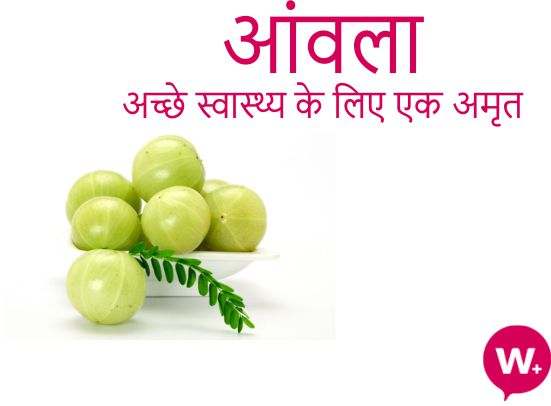 amla-ke-swasthya-ke-liye-fayde-hindi-benefits-of-amla-for-good-health